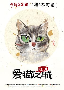 爱猫之城[电影解说]